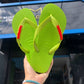 Havaianas Top Verde Logo Laranja neon