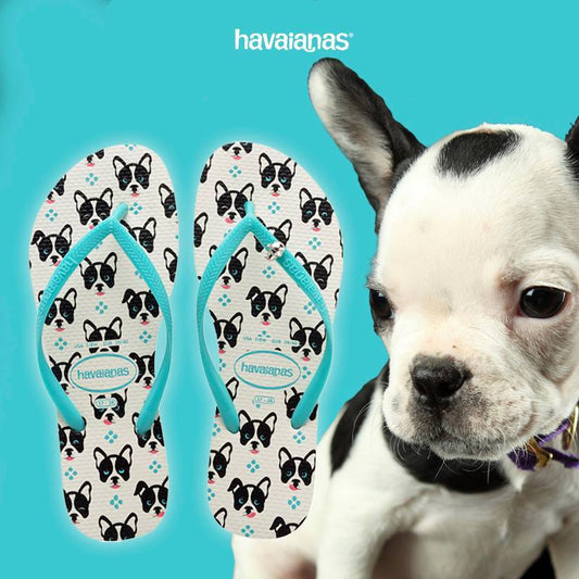 Havaianas do Pug Pets só 41/42